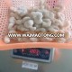 frozen seafood fresh shrimp vannamei price